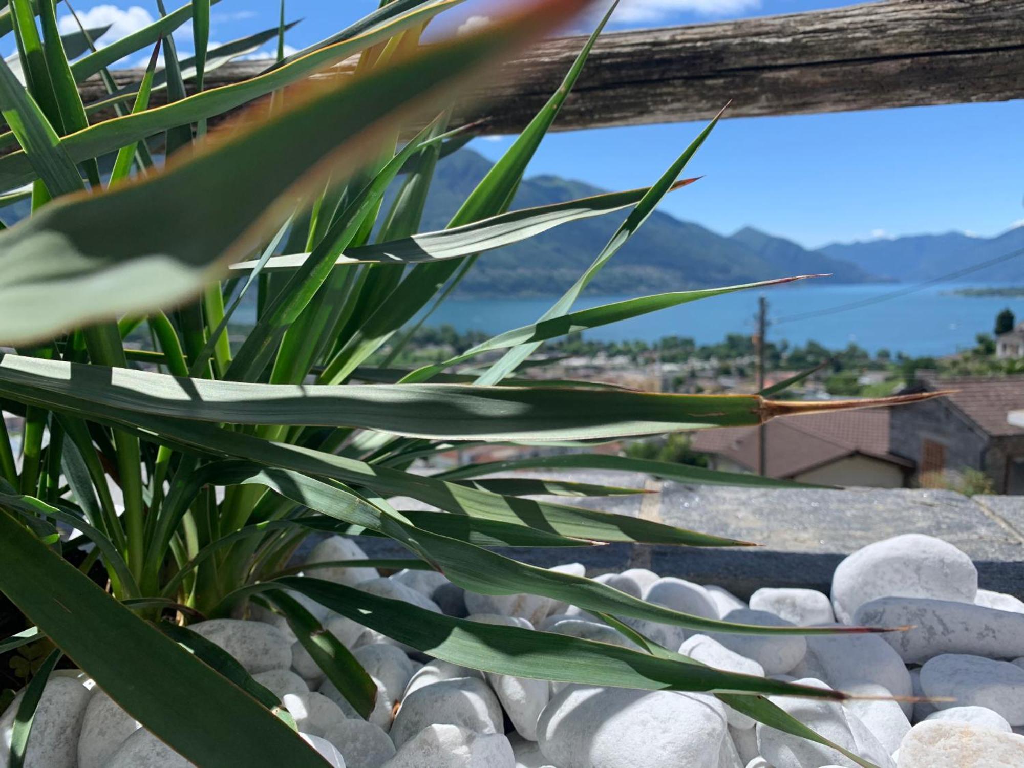 Appartamento Ai Ronchi Gordola Exterior photo